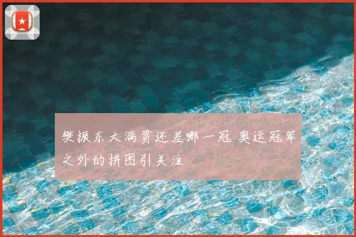 樊振东大满贯还差哪一冠 奥运冠军之外的拼图引关注