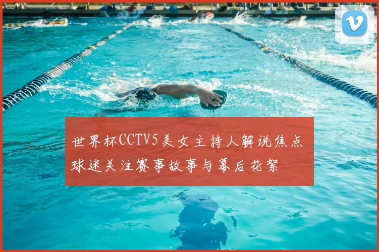 世界杯CCTV5美女主持人解说焦点 球迷关注赛事故事与幕后花絮