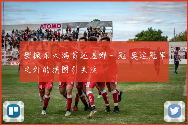 樊振东大满贯还差哪一冠 奥运冠军之外的拼图引关注