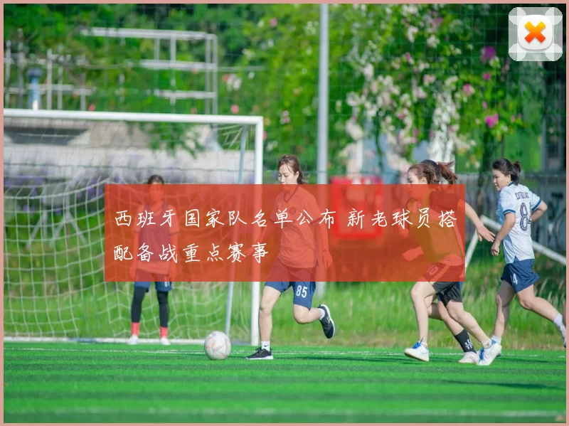 西班牙国家队名单公布 新老球员搭配备战重点赛事