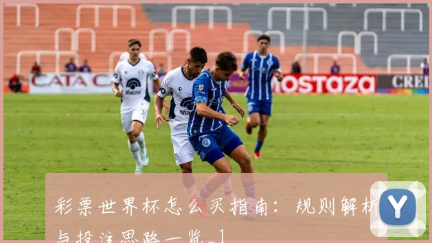 彩票世界杯怎么买指南：规则解析与投注思路一览_1