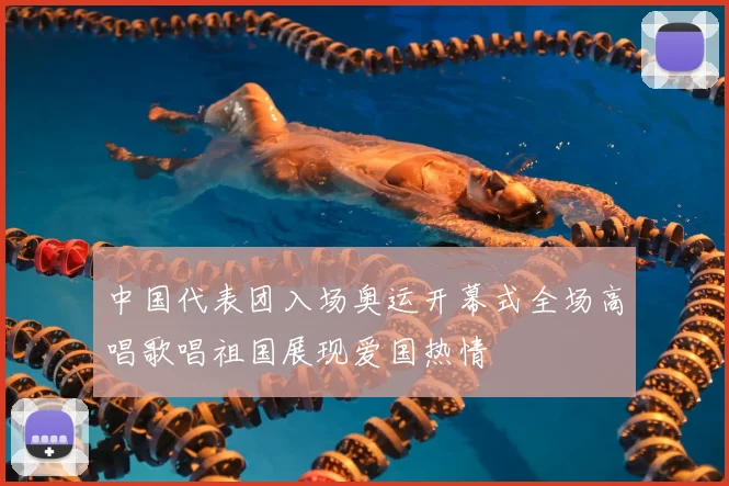 中国代表团入场奥运开幕式全场高唱歌唱祖国展现爱国热情